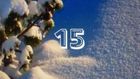 15. Dezember 2024