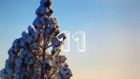 11. Dezember 2024